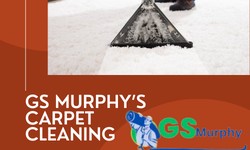 Deep Clean Your Carpets for a Healthier Home Environment