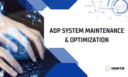Enhancing Efficiency: ADP System Maintenance and Optimization Strategies