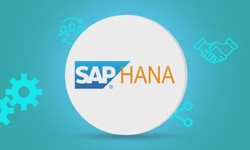 The Practical Truth About SAP HANA and Its Impact on Your Business