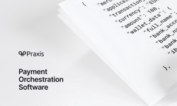 Praxis Tech: Revolutionizing Online Payments through Payment Orchestration