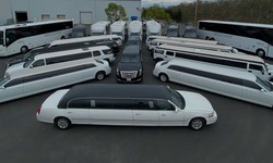 How to Find the Best Luxurious Limousine Services in Florida