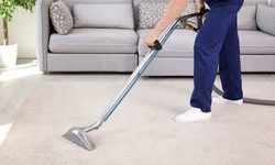 The Benefits of Steam Cleaning for Carpets: A Comprehensive Guide