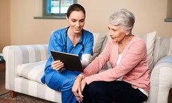 In the Heart of Healing: Specialist Care Support and Its Impact