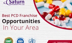 Unveiling the potential: PCD Pharma Franchise Companies