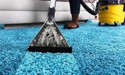 The Top Advantages of Professional Carpet Cleaning Services