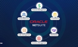 Navigating the NetSuite Implementation Process with Intelvue