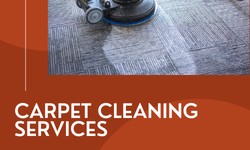 Carpet Cleaning Magic: Unveiling the Secrets to Fresh Flooring