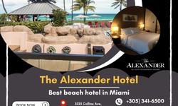 Unveiling Paradise: The Alexander Hotel Best beach hotel in Miami- Your Oasis of Luxury on Miami's Shores"