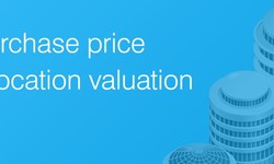 Understanding PPA Valuation: A Guide for Investors