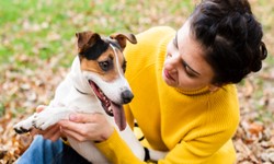 Understanding Fair Housing Act: Safeguarding Emotional Support Animals