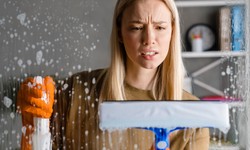 What Are The Common Residential Window Cleaning Mistakes?