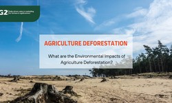 What are the Environmental Impacts of Agriculture Deforestation?