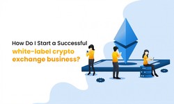 How do I start a successful white-label crypto exchange business?