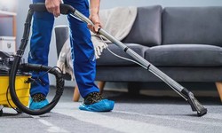Unveiling the Best Carpet Cleaning Services Near Me