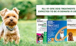 Top All-in-one Dog Treatments for 2024