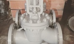 Globe Valve Manufacturer in Germany