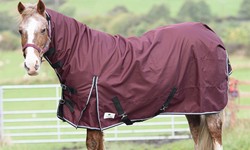 Unveiling the Top Trends in Horse Rugs: Style, Comfort, and Functionality