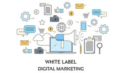 Why White Label Digital Agencies Are The Future Of Business?
