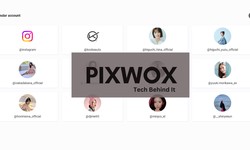 Pixwox Hacks: Accessing Locked Instagram Content