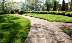 Lawn Perfection: Mastering the Art of Weed Control