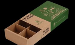 Custom Sleeve Boxes: Elevating Your Brand with Genius Packaging