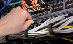 Check Out The Professional And Best Computer Network Support Near Me