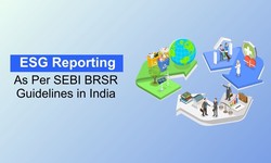 ESG Reporting as Per SEBI BRSR Guidelines in India
