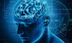 Exploring the Frontier of Brain-Computer Interfaces: Bridging Neuroscience and Technology