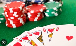 Exploring the Evolution Casino VIP Program: Perks and Benefits