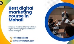 Best digital marketing institute in Mohali: 100% job placement