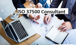 Who Can Benefit from ISO 37500?