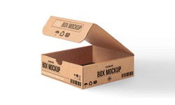 Packaging Innovations 2024: Are You Keeping Up with the Trends?