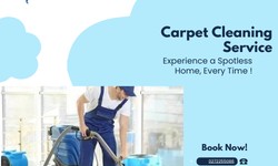 Revitalize Your Space: GS Murphy's Premium Carpet Cleaning