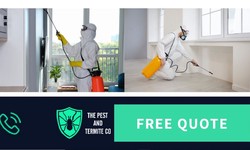 Termite Treatment Gold Coast