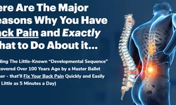 The Back Pain Miracle System Review - Is it REALLY work for YOU?