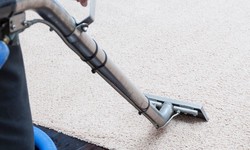Everything You Need to Know About Carpet Cleaning in Washington DC