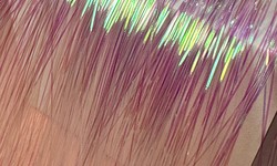 Shine Bright: Embrace the Trend with Hair Tinsel Delight!