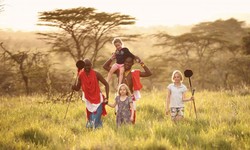 Everything you need to know about the best time for African safari