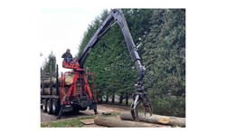 Tree Removal Service Near Monroe, CT: Your Guide to a Seamless Experience