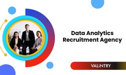 Data Analytics Recruitment Agency