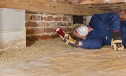 Unearthing the Importance of Foundation Repair and Crawl Space Maintenance