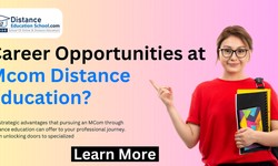 Career Opportunities After MBA Distance Education