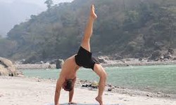 How to Enroll at Rishikesh Vinyasa Yoga School for 200 Hour 300 Hour and 500 Hours yoga teacher training
