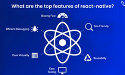 Elevating Web Experiences with React JS Development Services