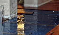 The Importance of Immediate Water Damage Cleanup: Tips from a  St. Petersburg, FL Expert