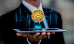 The Growth and Adoption of Cryptocurrency Depend on the Function of a Crypto Wallet Development Company