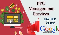 Maximize Your Online Presence with Professional PPC Management
