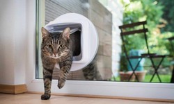 Cat Flap Installers Near Me: Making Life Easier for You