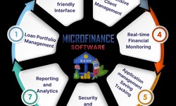 Microfinance software company in lucknow