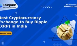 Best Cryptocurrency Exchange to Buy Ripple (XRP) in India